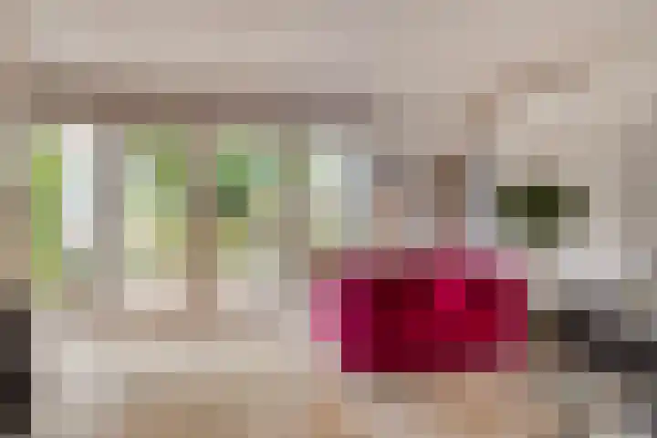 Gezellehof 90 Oss thumbnail 14