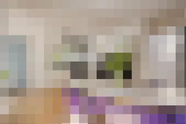 Gezellehof 90 Oss thumbnail 17
