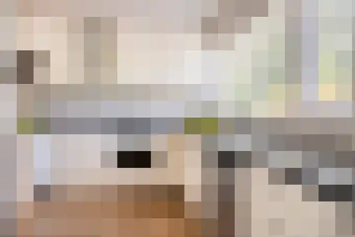 Gezellehof 90 Oss thumbnail 19