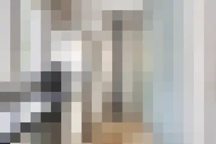 Gezellehof 90 Oss thumbnail 20