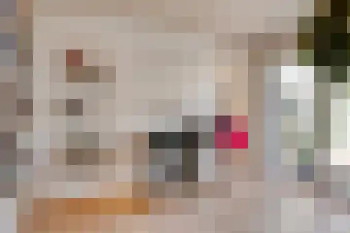 Gezellehof 90 Oss thumbnail 31
