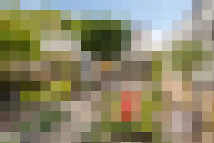 Gezellehof 90 Oss thumbnail 35