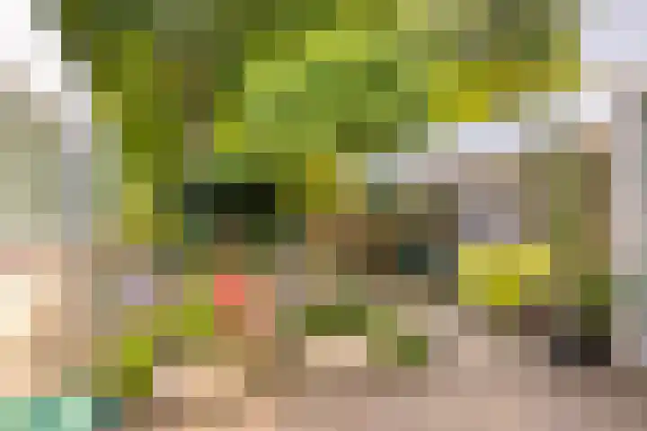 Gezellehof 90 Oss thumbnail 36