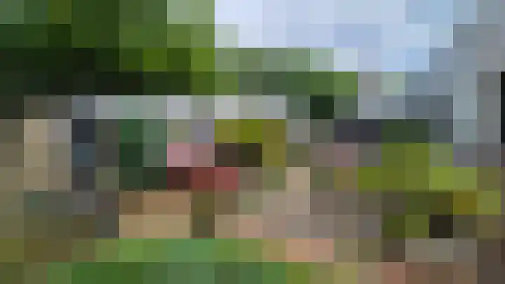 Gezellehof 90 Oss thumbnail 6