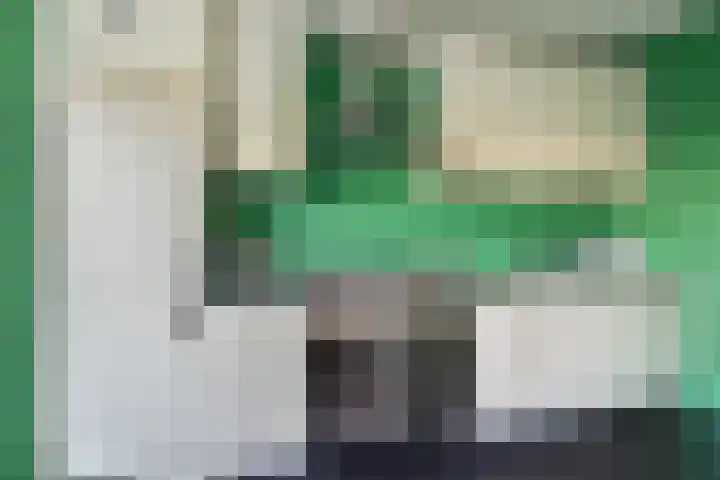 Ghijseland 161 Rhoon thumbnail 10