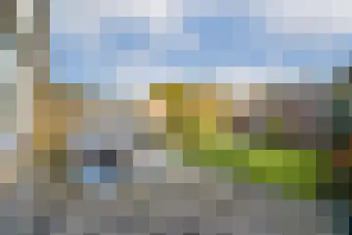 Ghijseland 161 Rhoon thumbnail 12