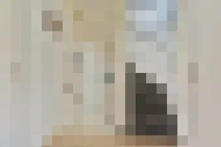 Ghijseland 161 Rhoon thumbnail 13