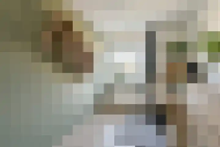 Ghijseland 161 Rhoon thumbnail 17