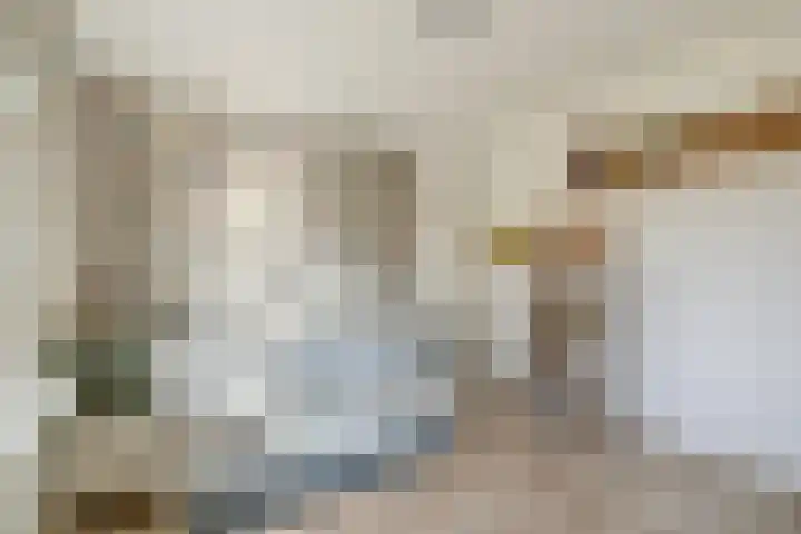 Ghijseland 161 Rhoon thumbnail 20
