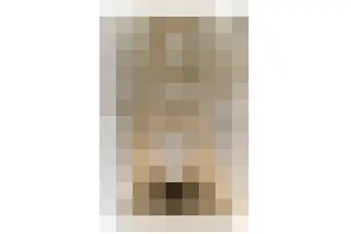 Ghijseland 161 Rhoon thumbnail 21