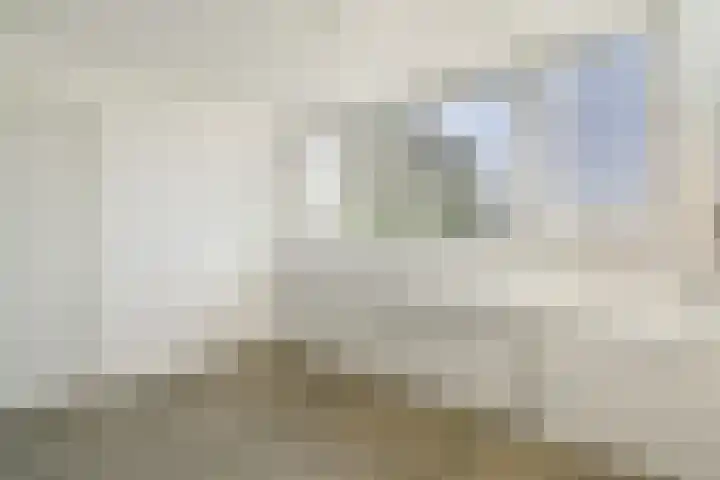 Ghijseland 161 Rhoon thumbnail 23