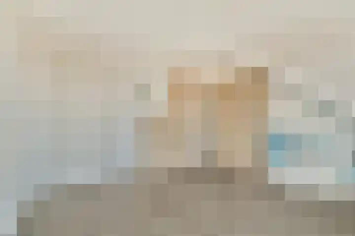 Ghijseland 161 Rhoon thumbnail 26