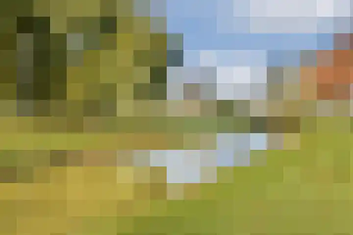 Ghijseland 161 Rhoon thumbnail 27