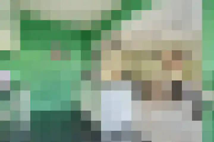 Ghijseland 161 Rhoon thumbnail 5