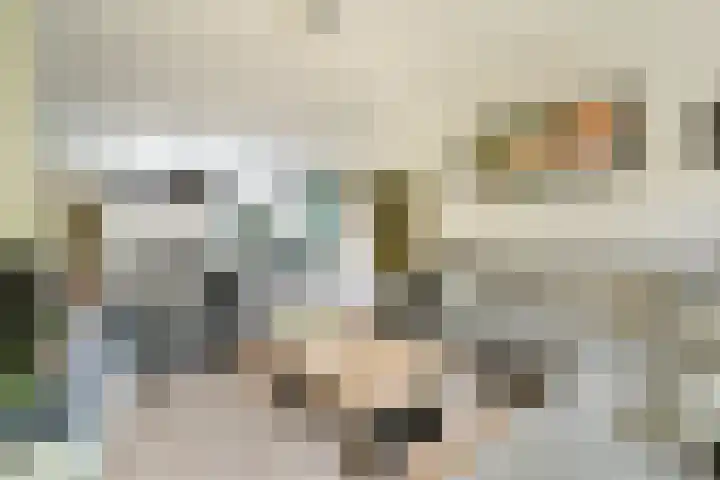 Ghijseland 161 Rhoon thumbnail 9