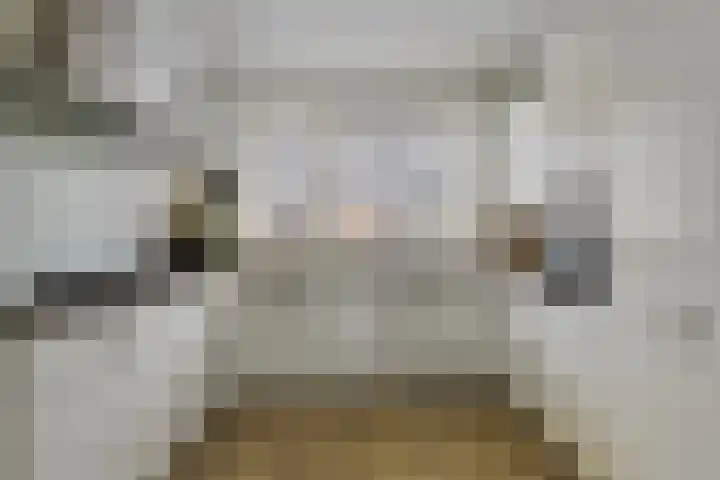 Giek 11 Meppel thumbnail 13