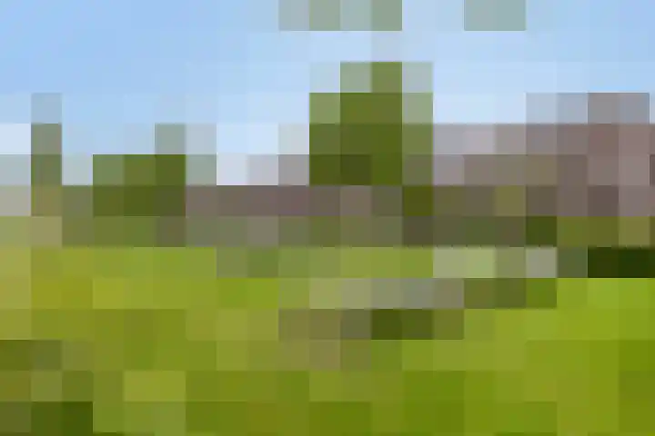 Giek 11 Meppel thumbnail 37