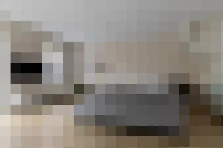 Giek 11 Meppel thumbnail 7