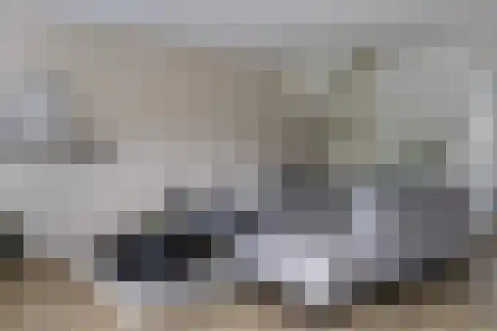 Giek 11 Meppel thumbnail 8