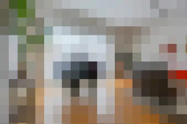 Giek 15 Almere thumbnail 4