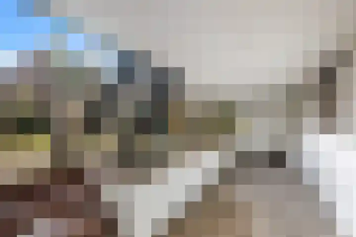 Giek 29 Almere thumbnail 38