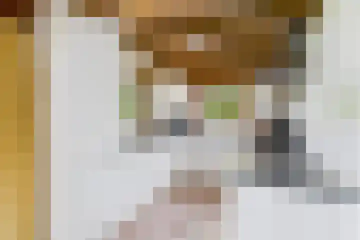 Giek 29 Almere thumbnail 39