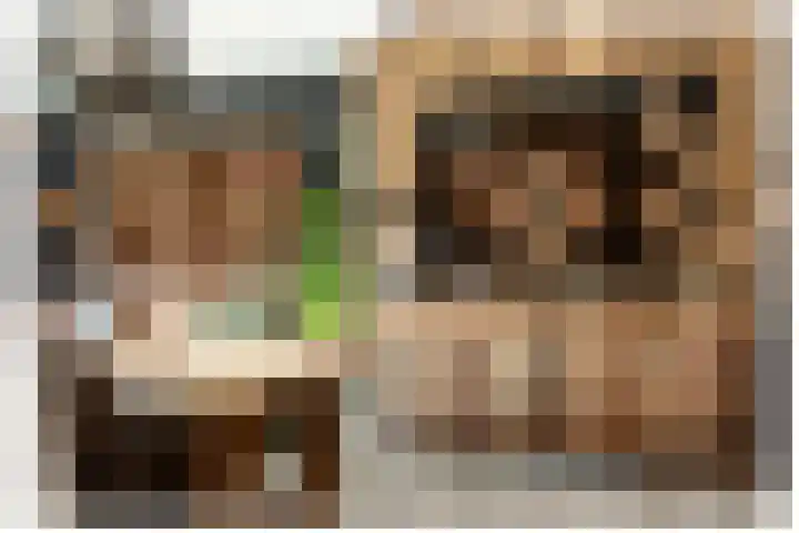 Gierelaar 103 Wouw thumbnail 11