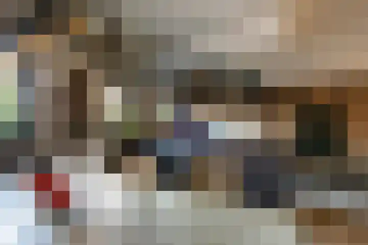 Gierelaar 103 Wouw thumbnail 14