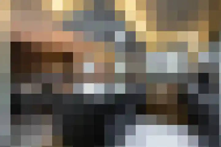 Gierelaar 103 Wouw thumbnail 15