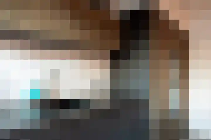 Gierelaar 103 Wouw thumbnail 17