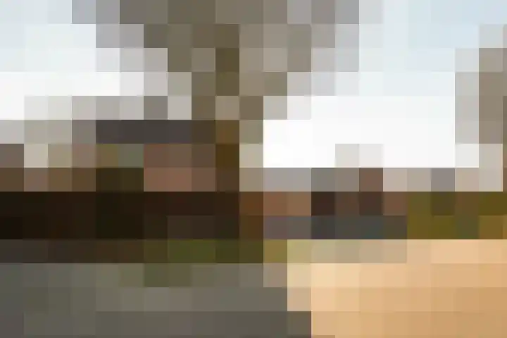 Gierelaar 103 Wouw foto 2