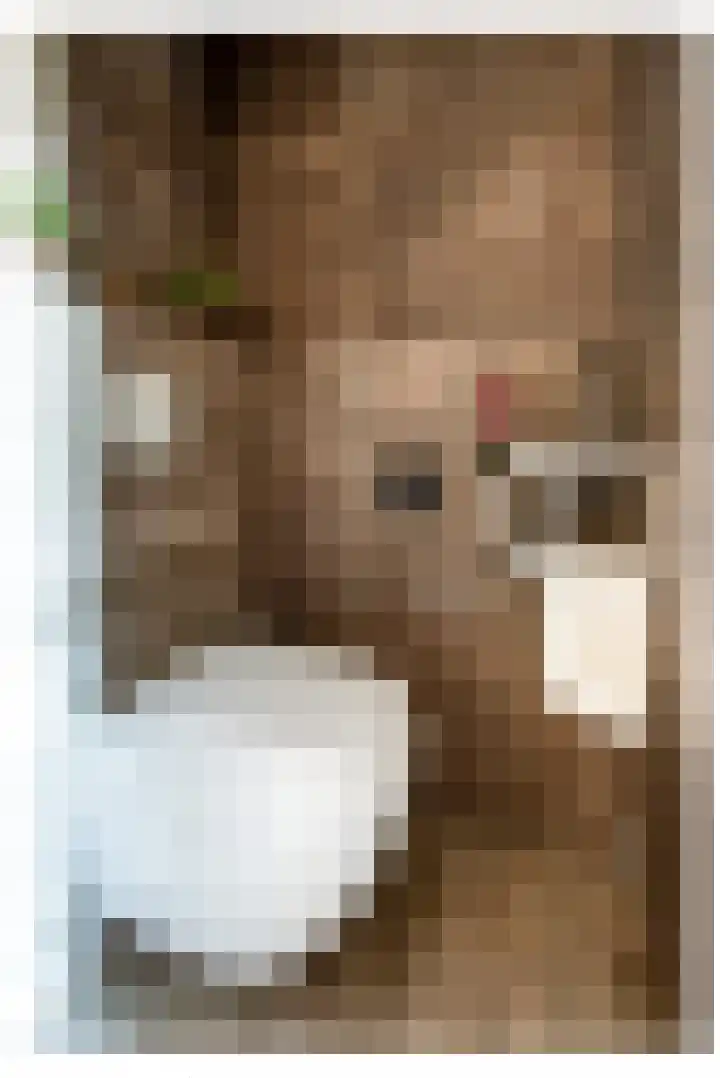Gierelaar 103 Wouw thumbnail 21