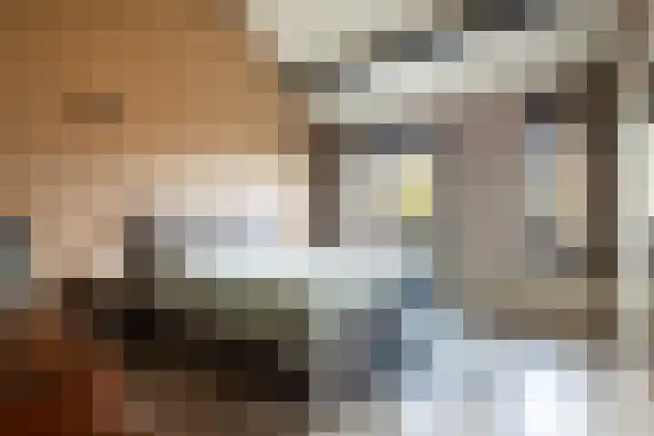 Gierelaar 103 Wouw thumbnail 24
