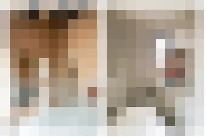 Gierelaar 103 Wouw thumbnail 25