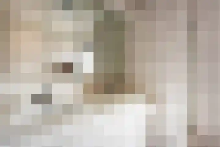 Gierelaar 103 Wouw thumbnail 26