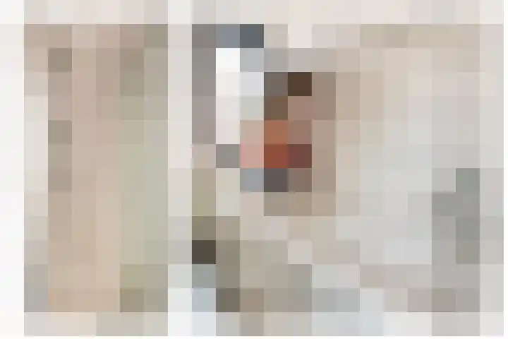 Gierelaar 103 Wouw thumbnail 27