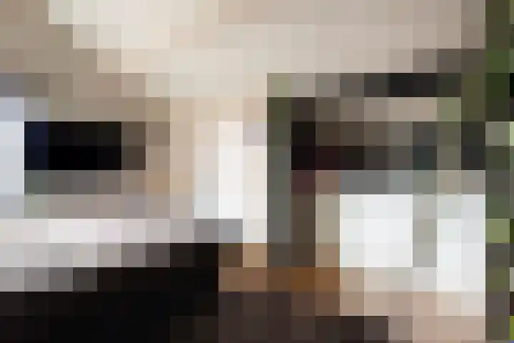 Gierelaar 103 Wouw thumbnail 28