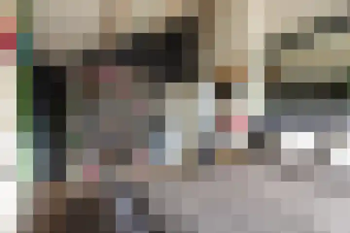 Gierelaar 103 Wouw thumbnail 29