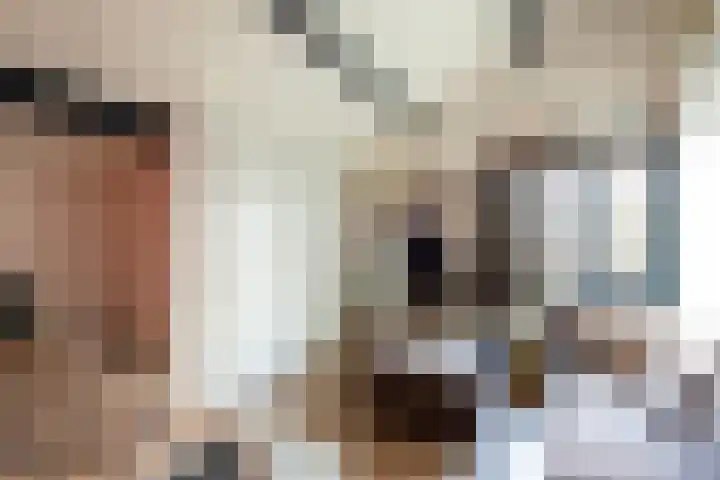 Gierelaar 103 Wouw thumbnail 30