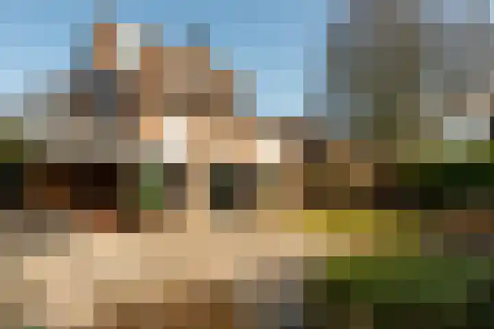 Gierelaar 103 Wouw thumbnail 36