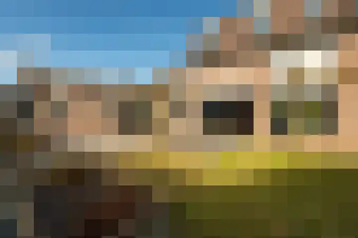 Gierelaar 103 Wouw thumbnail 37
