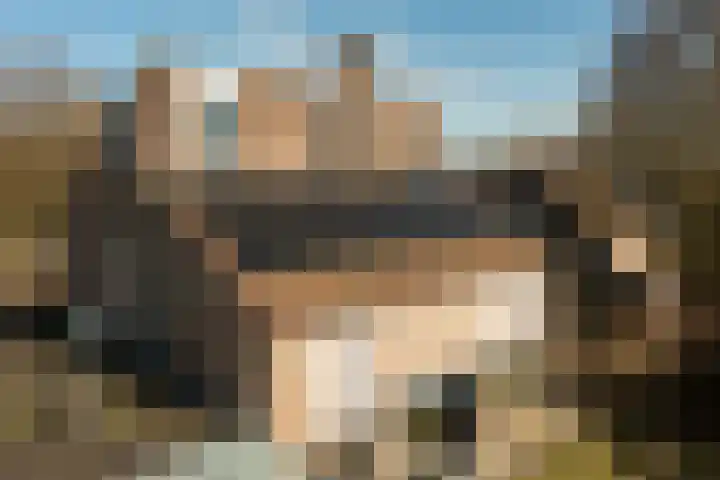 Gierelaar 103 Wouw thumbnail 39