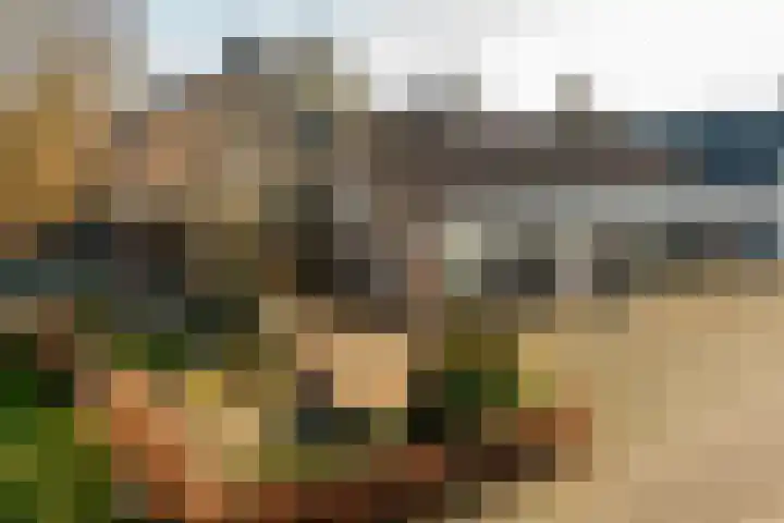 Gierelaar 103 Wouw thumbnail 4