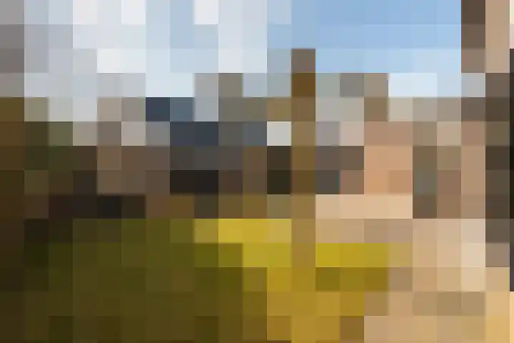 Gierelaar 103 Wouw thumbnail 40