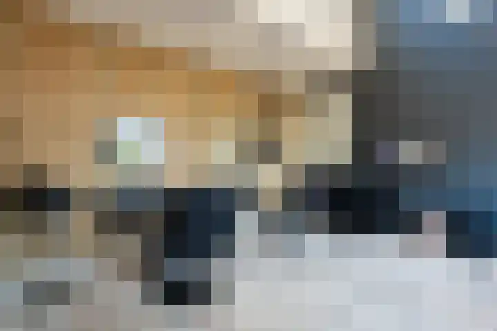 Gierelaar 103 Wouw thumbnail 44