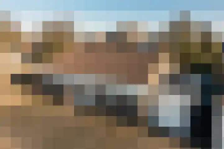 Gierelaar 103 Wouw thumbnail 52