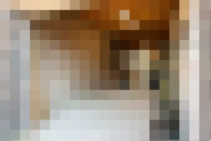 Gierelaar 103 Wouw thumbnail 53