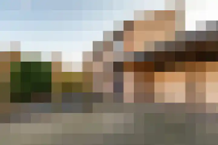 Gierelaar 103 Wouw thumbnail 54