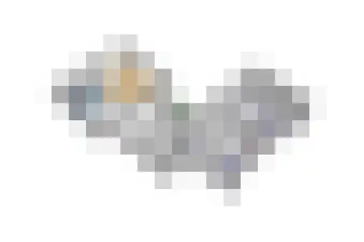 Gierelaar 103 Wouw thumbnail 60