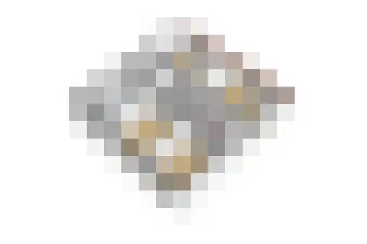 Gierelaar 103 Wouw thumbnail 61